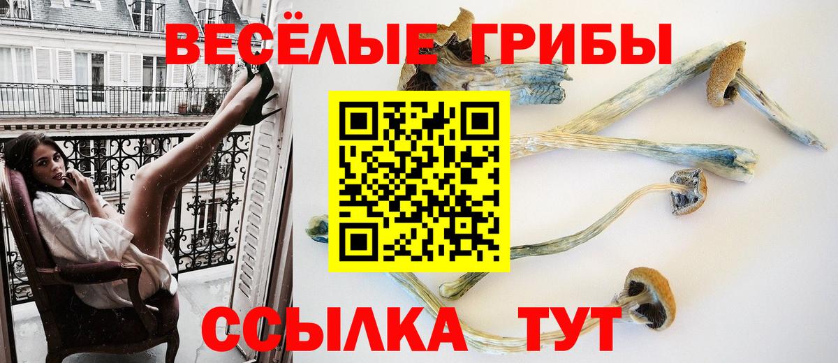 Галлюциногенные грибы GOLDEN TEACHER Кострома